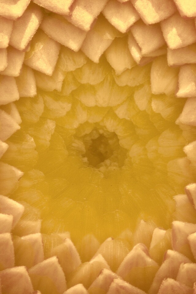 Сердцевина цветка обои