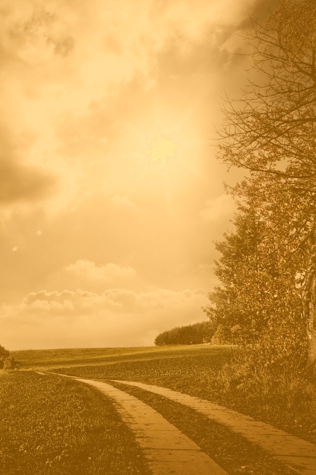 Солнечные холмы обои