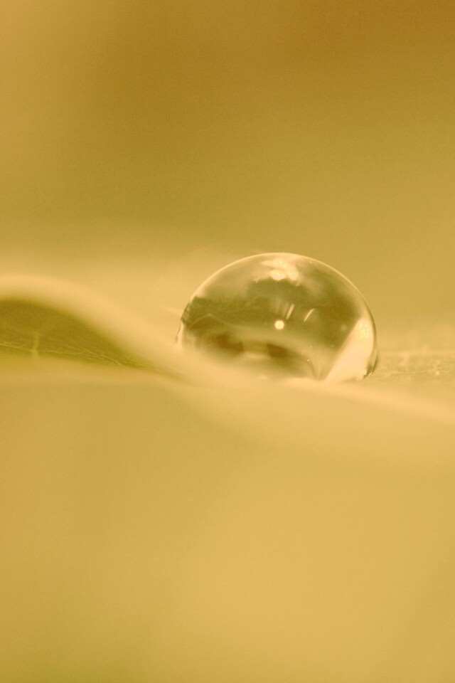 Фотография капли воды в макро обои