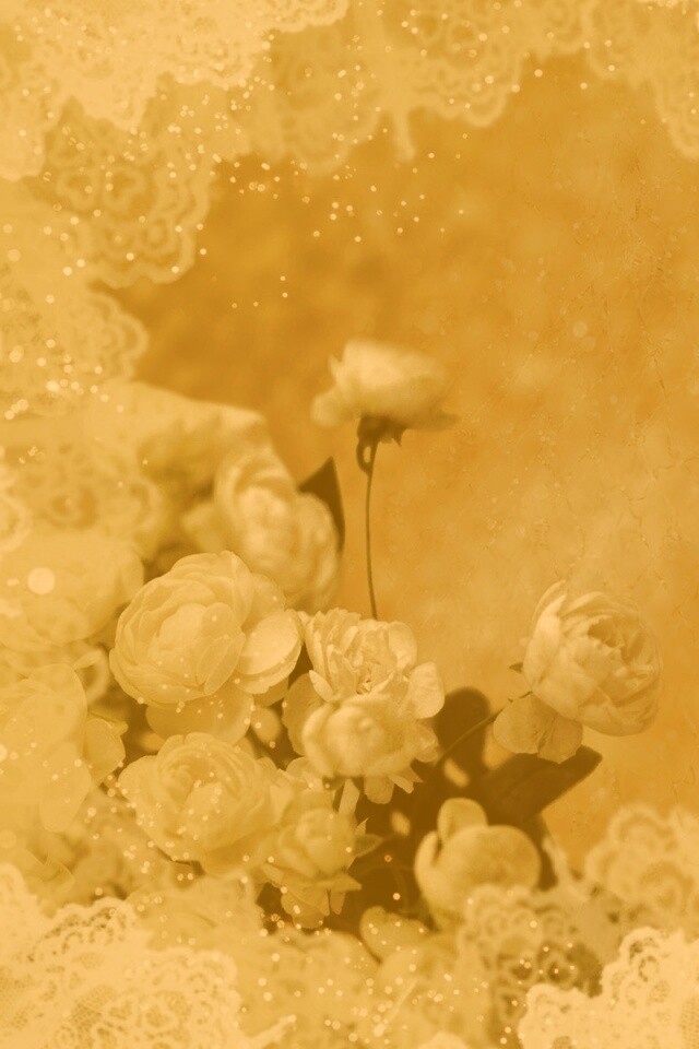 Бежевые кружева и розы обои