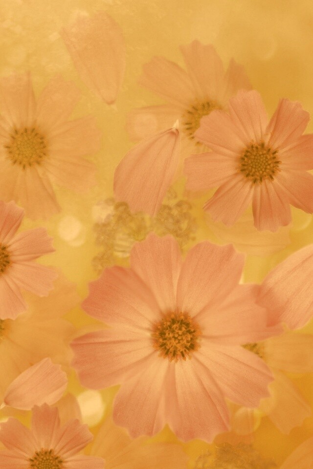 Цветочки обои