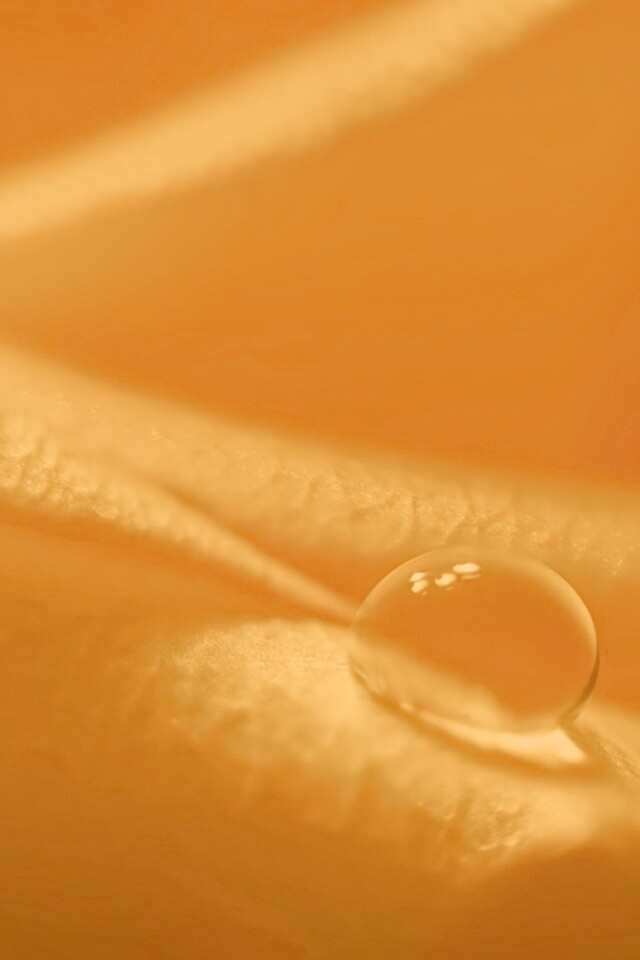 Капелька обои