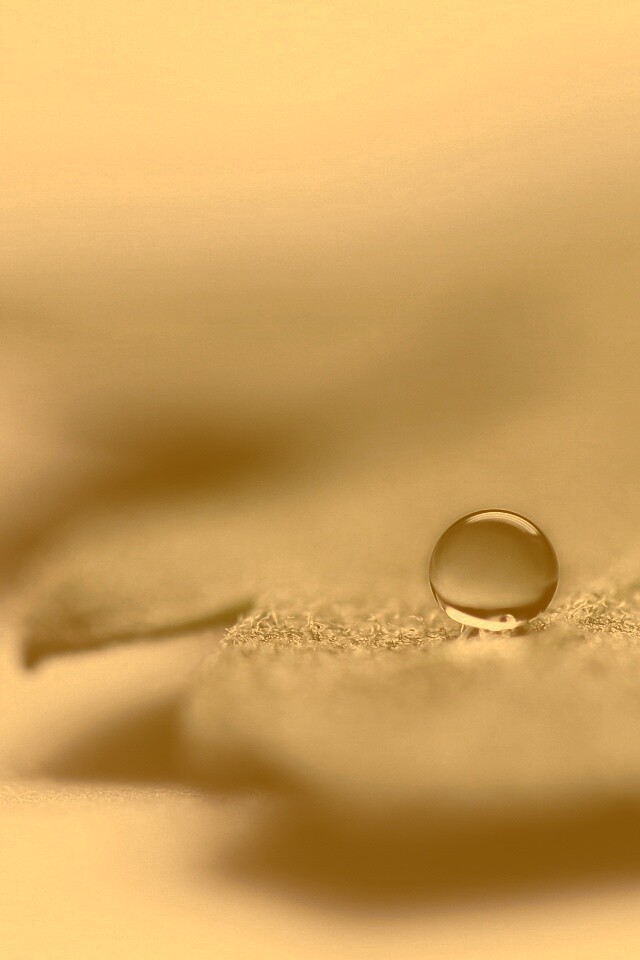 Капля на замёрзжем листе обои