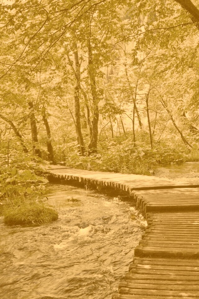 Тропинка над водой обои