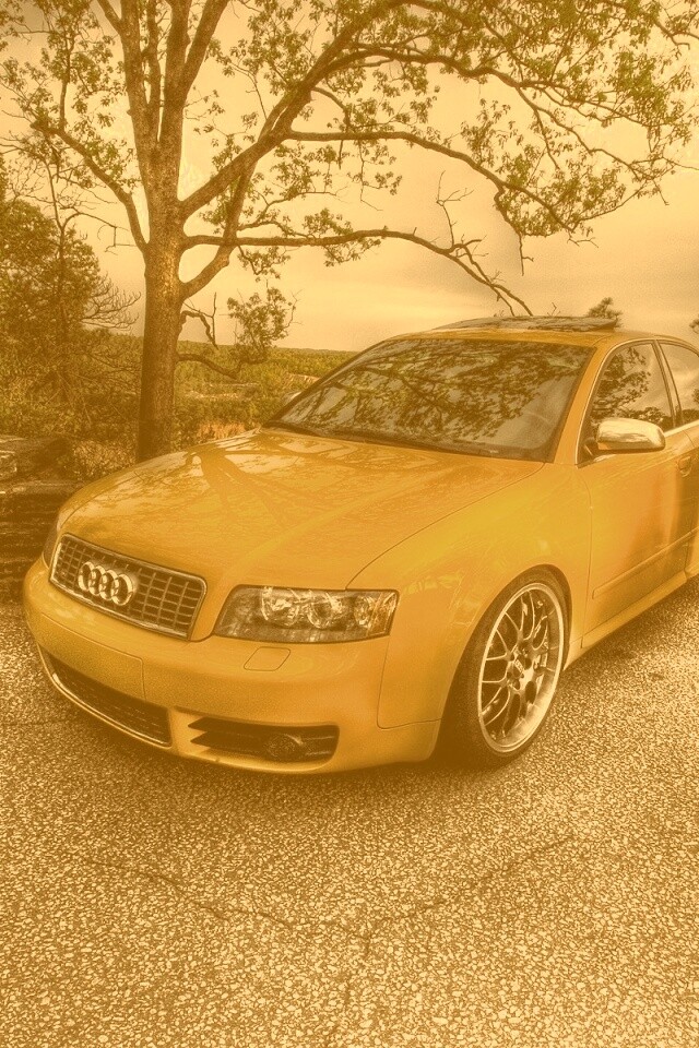 Желтый Ауди на дороге обои