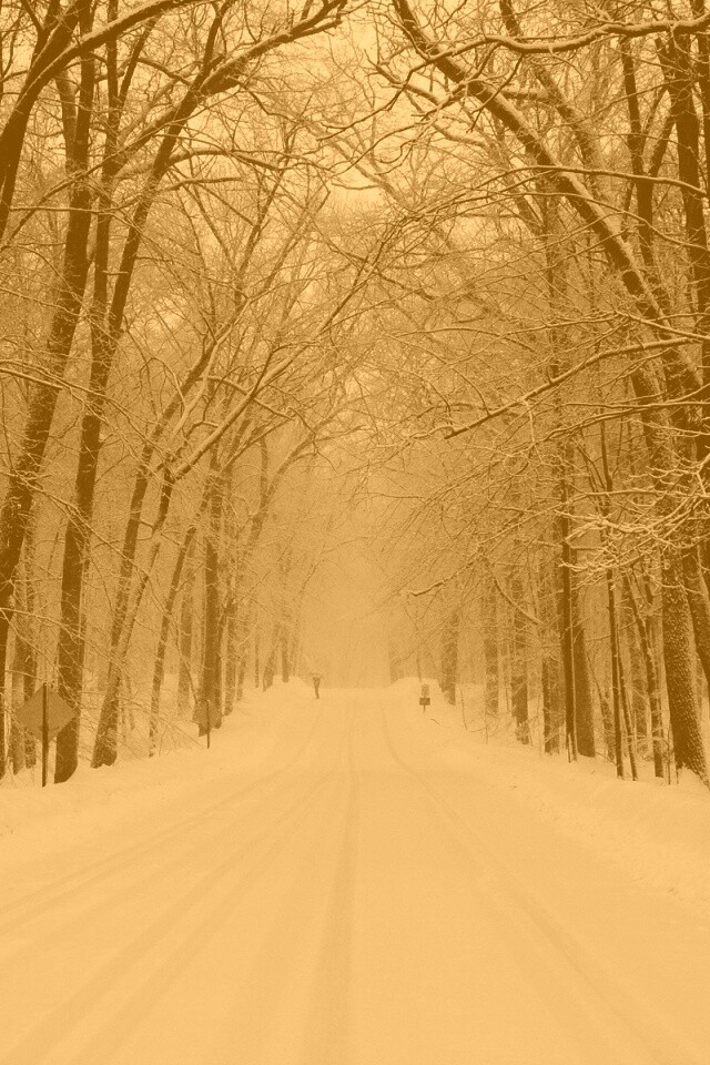 Дорога зимой в парке обои