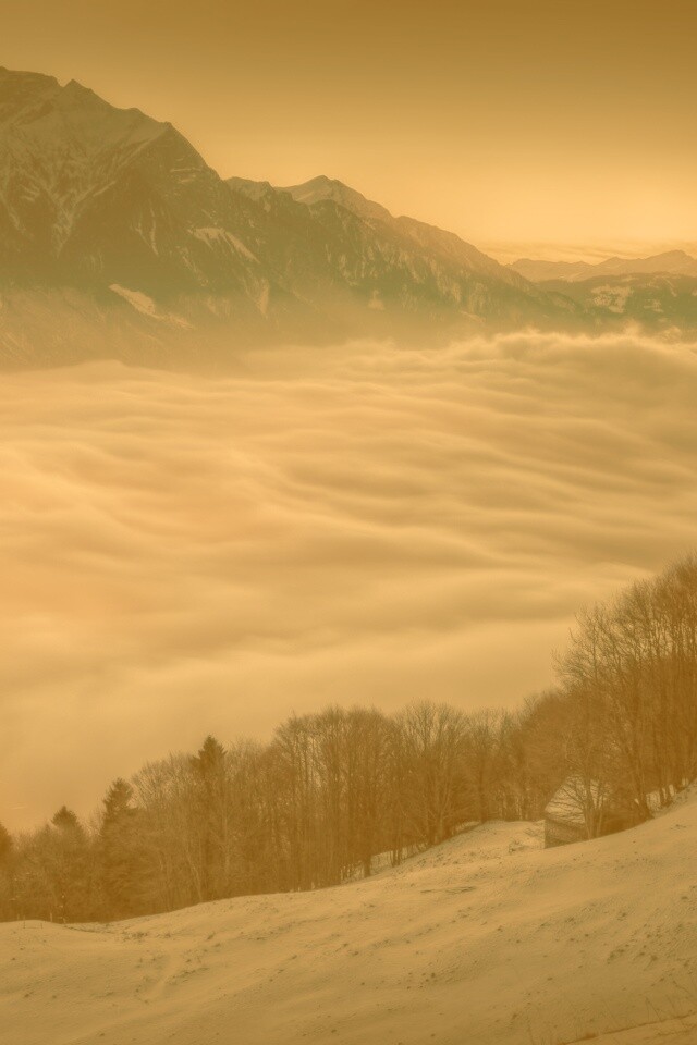 Туман в долине обои