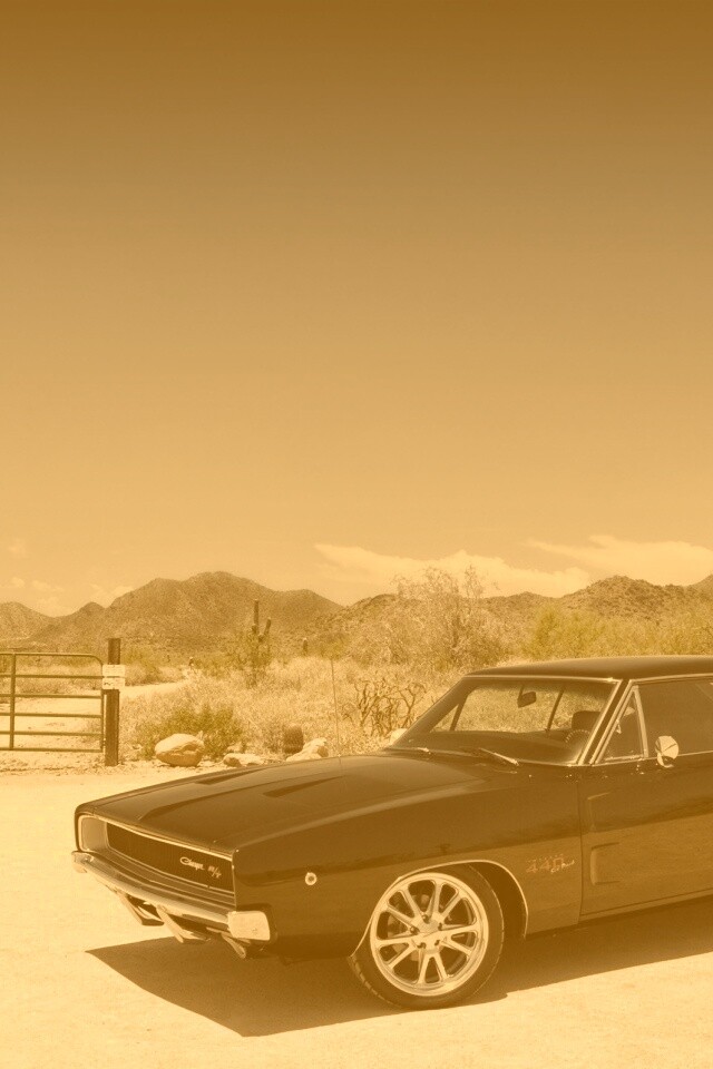 Мускулкар под палящим солнцем обои