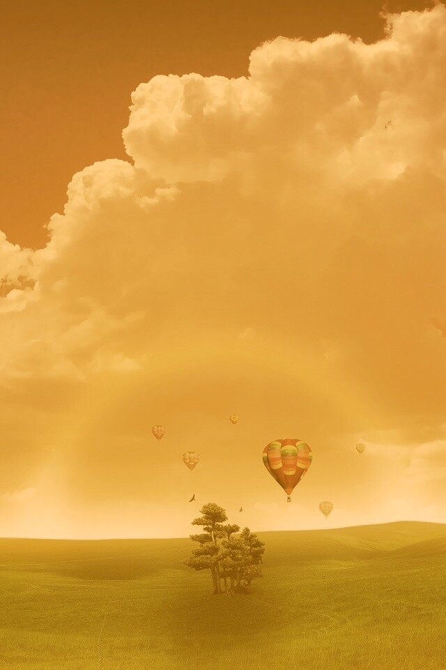 Мечты о полёте обои