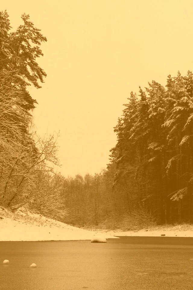 Зимняя дорога обои