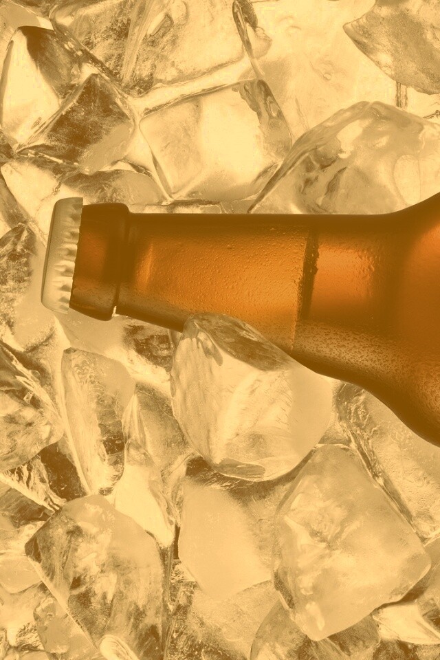 Бутылка пива во льду обои