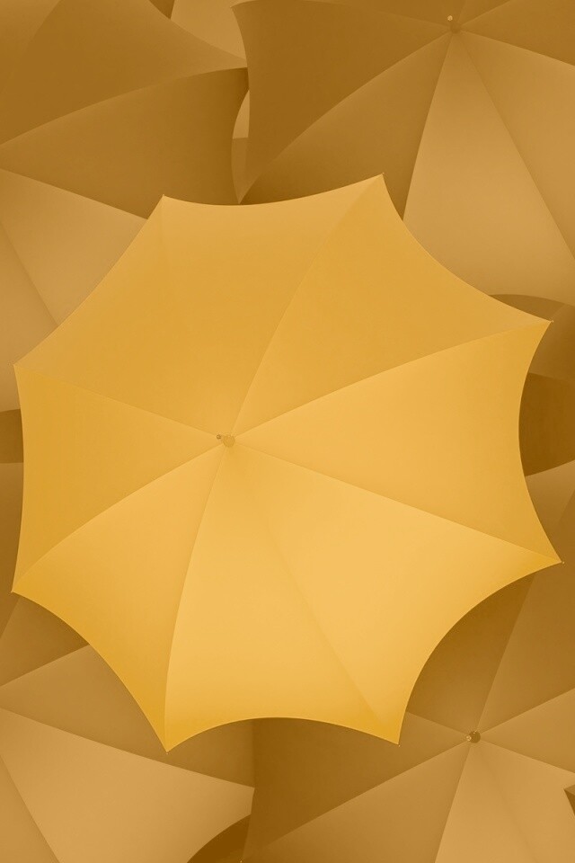 Жёлтый среди чёрных обои