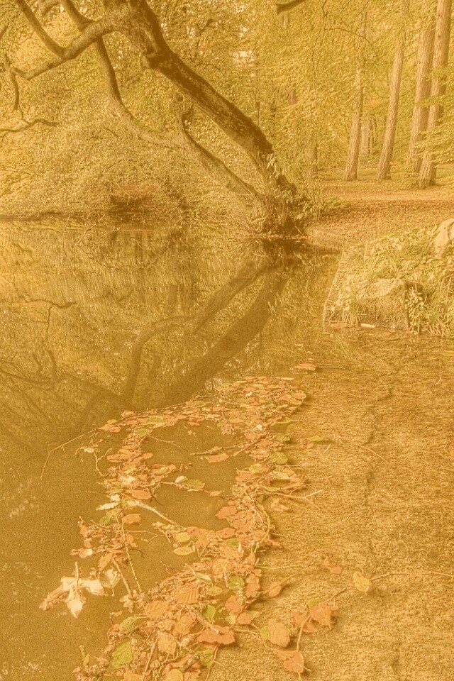 Пейзаж обои