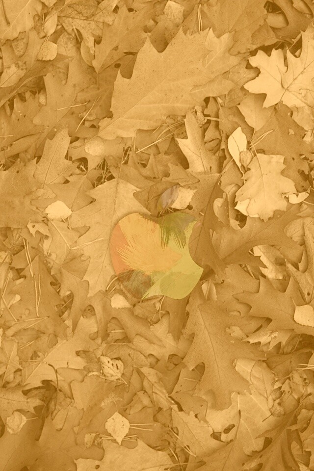 Яблоко в листьях обои