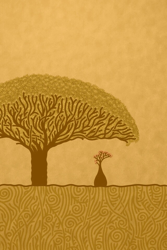 Нарисованное деревце обои