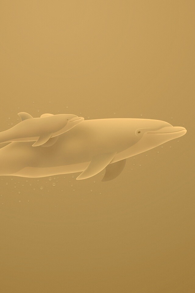 Дельфин и дельфиненок обои