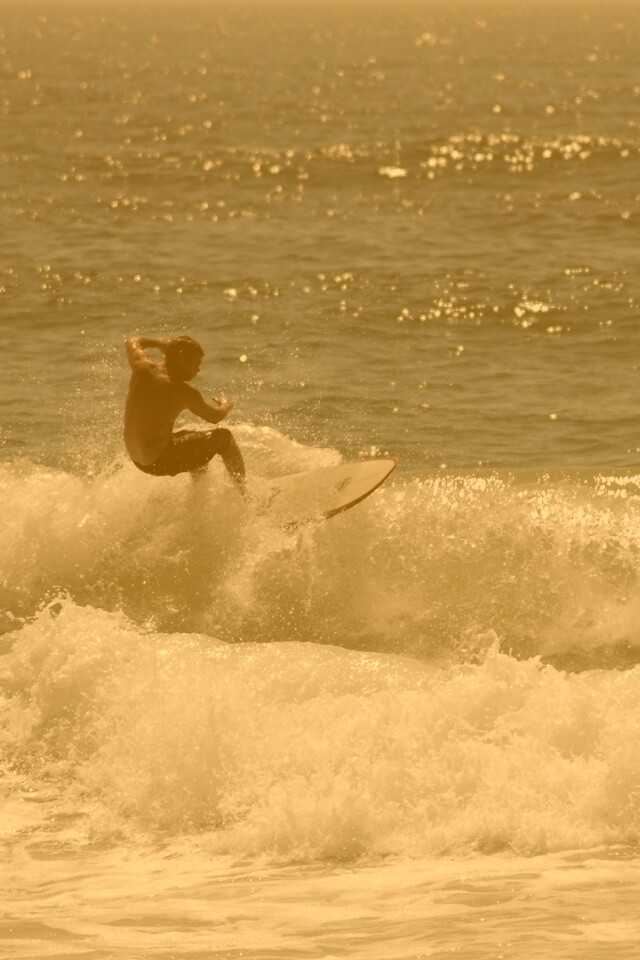 Сёрфенгист поймал волну обои