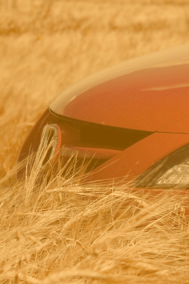 Мазда в пшенице обои