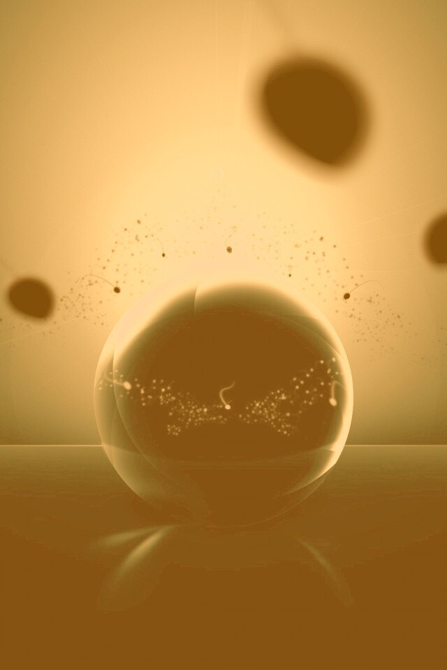 Оплодотворение обои