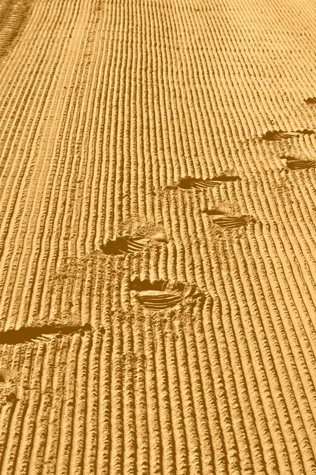 Следы на песке обои