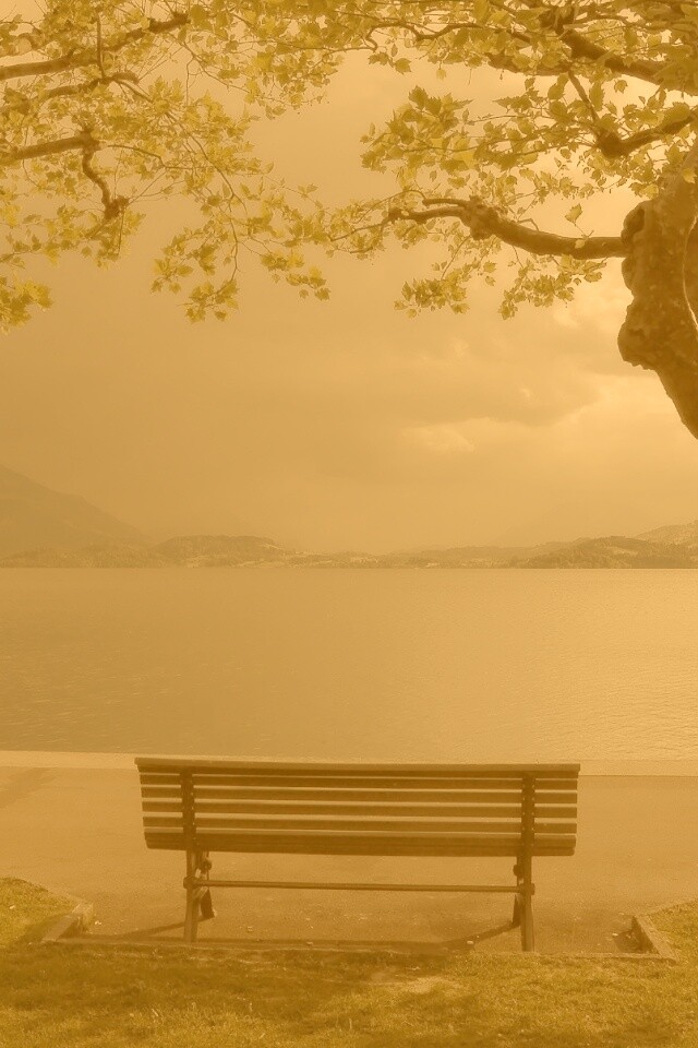 Скамейка на берегу обои