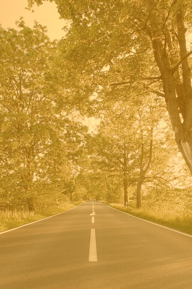 Прямая дорога обои