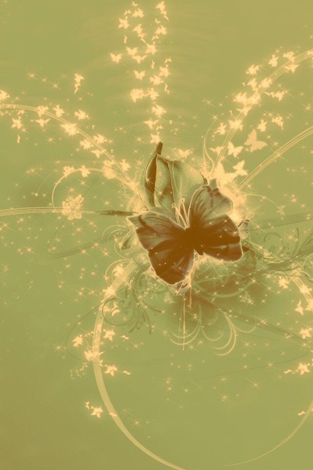 Волшебная бабочка обои