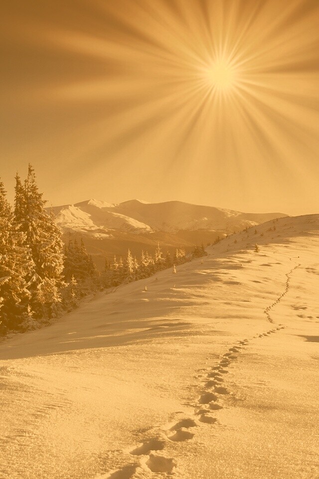 Холодные лучи зимнего солнца обои