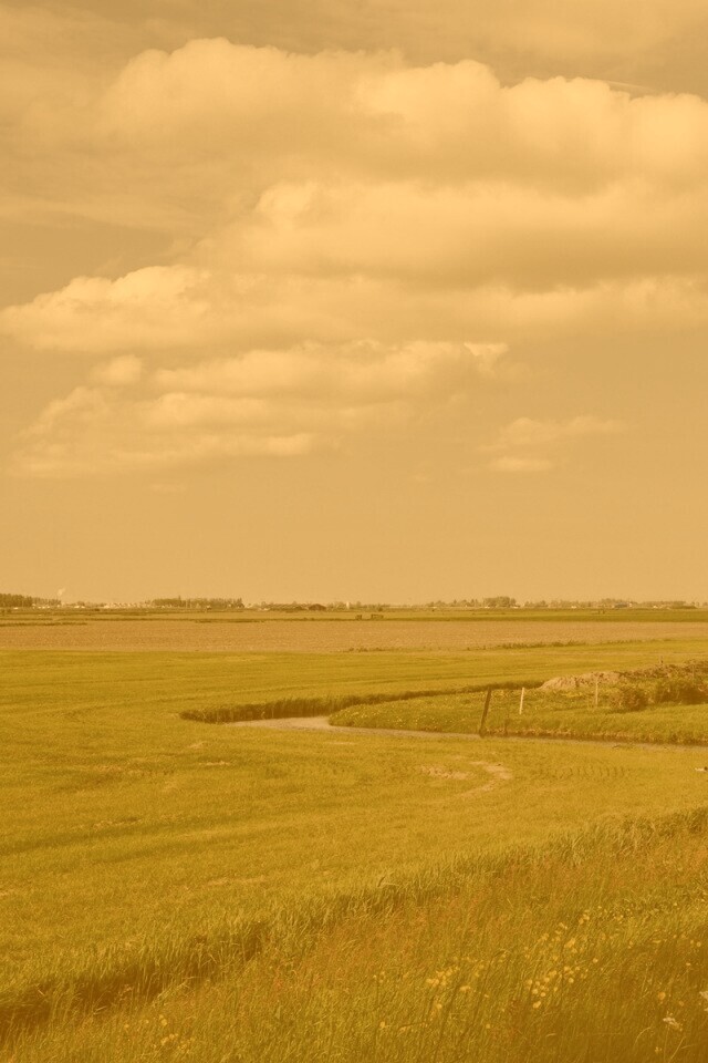 дом на лугу обои