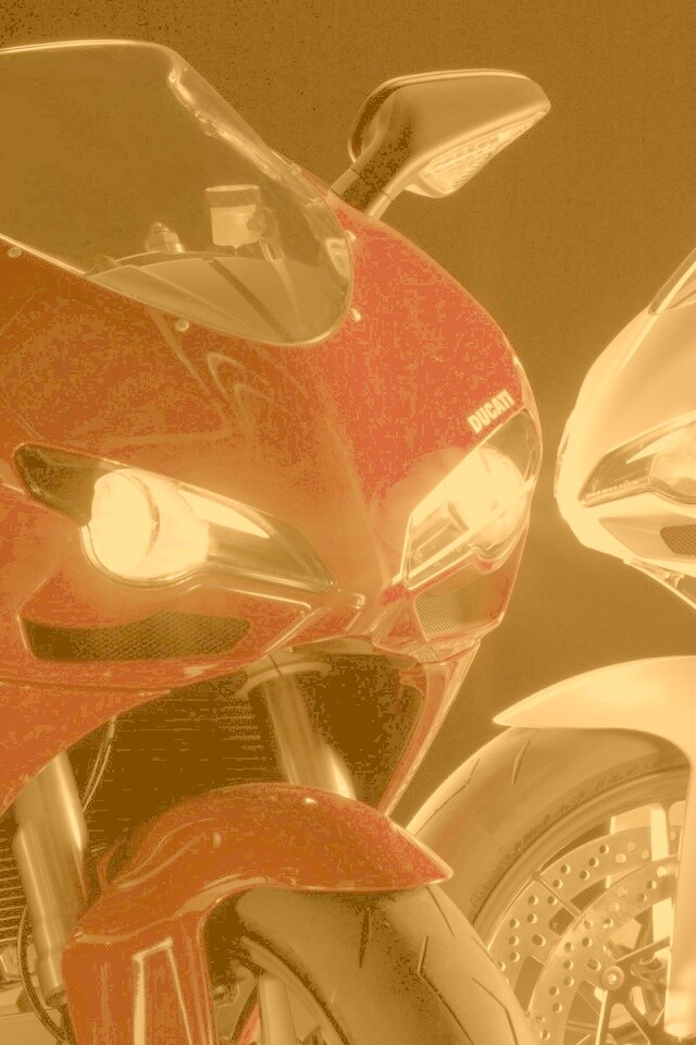 Красавцы  обои