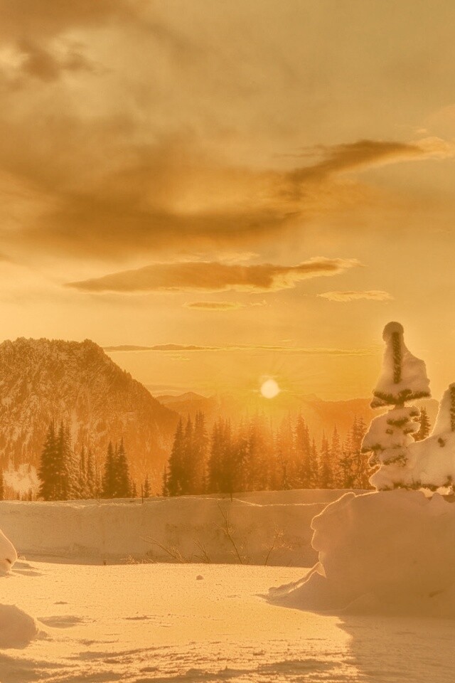 Зимнее солнце обои