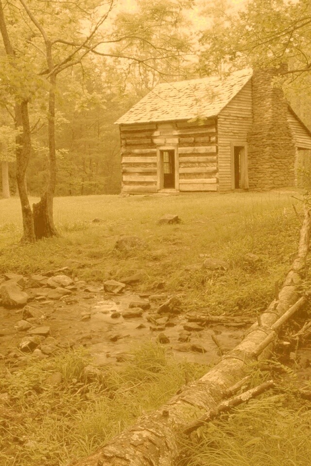 Домик в лесу обои