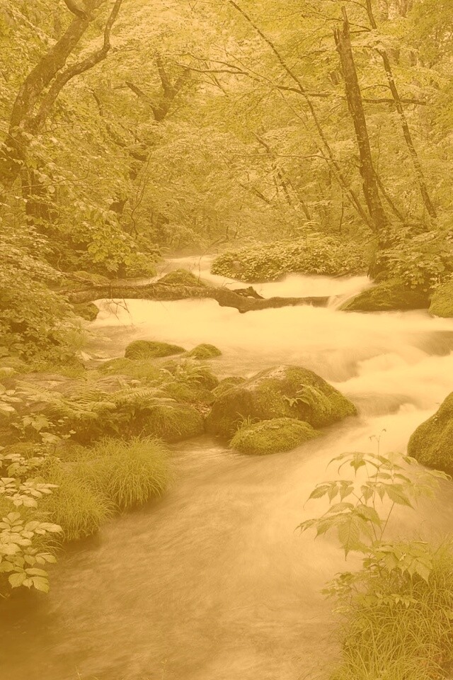 Лесная река обои