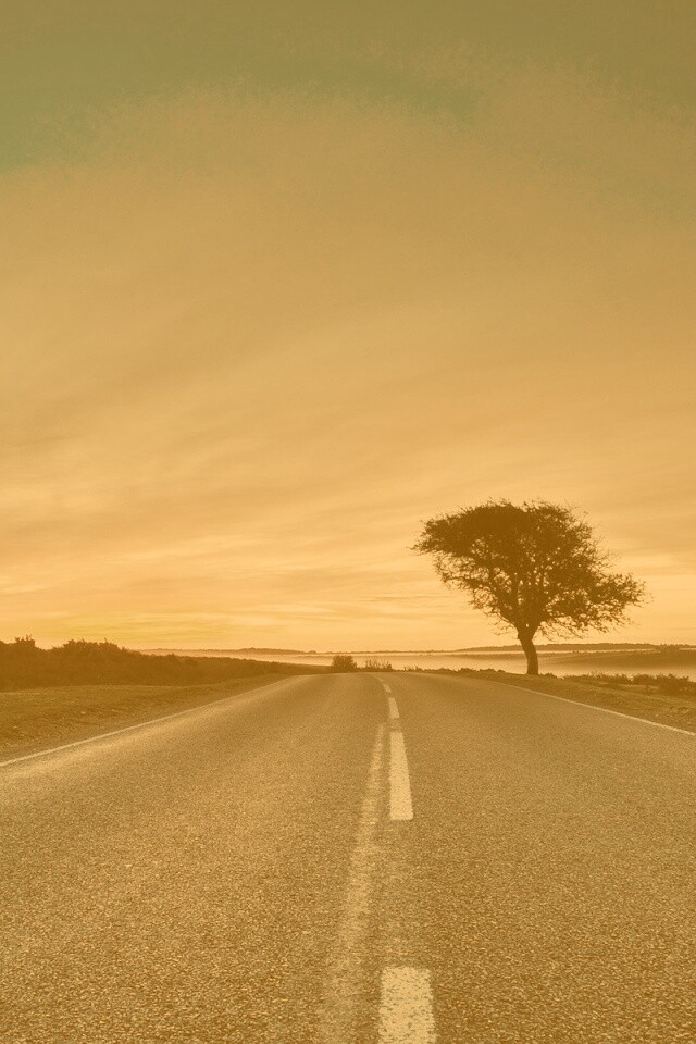 Дорога обои