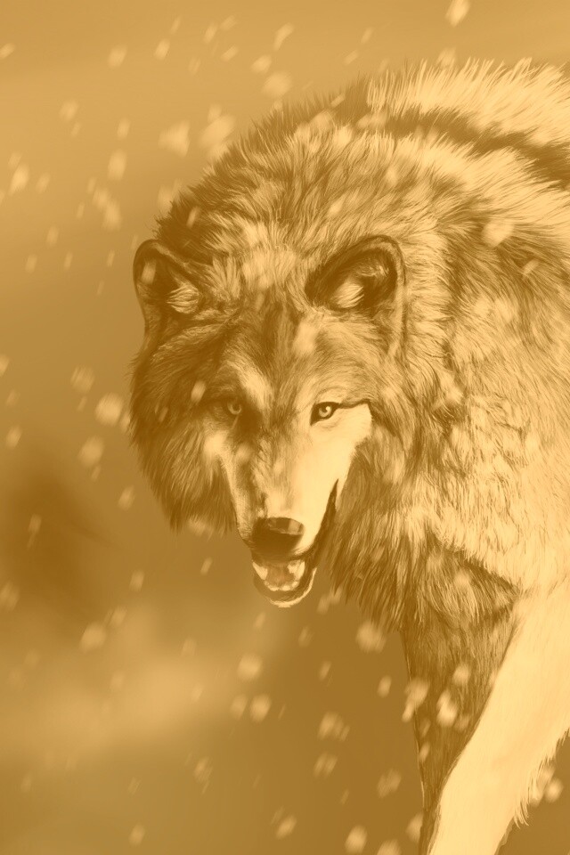 Охота на волка обои