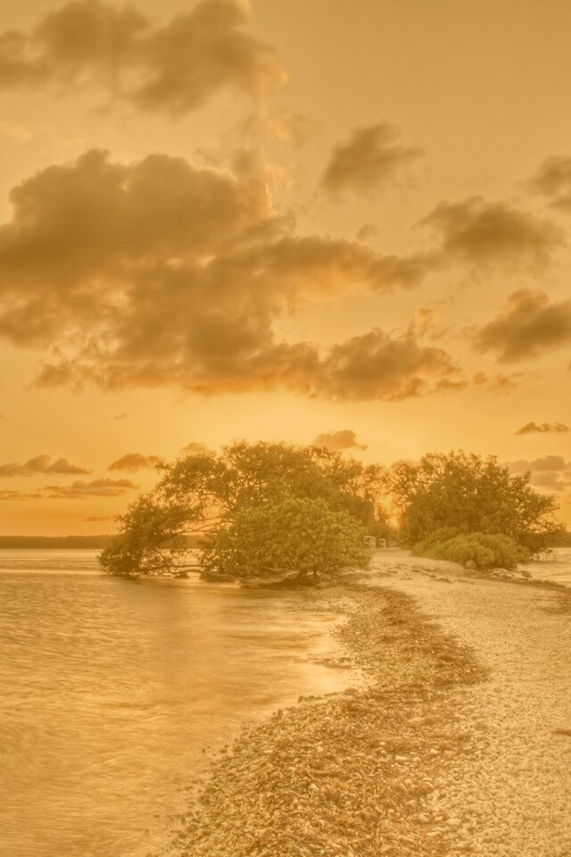 Побережье на закате обои