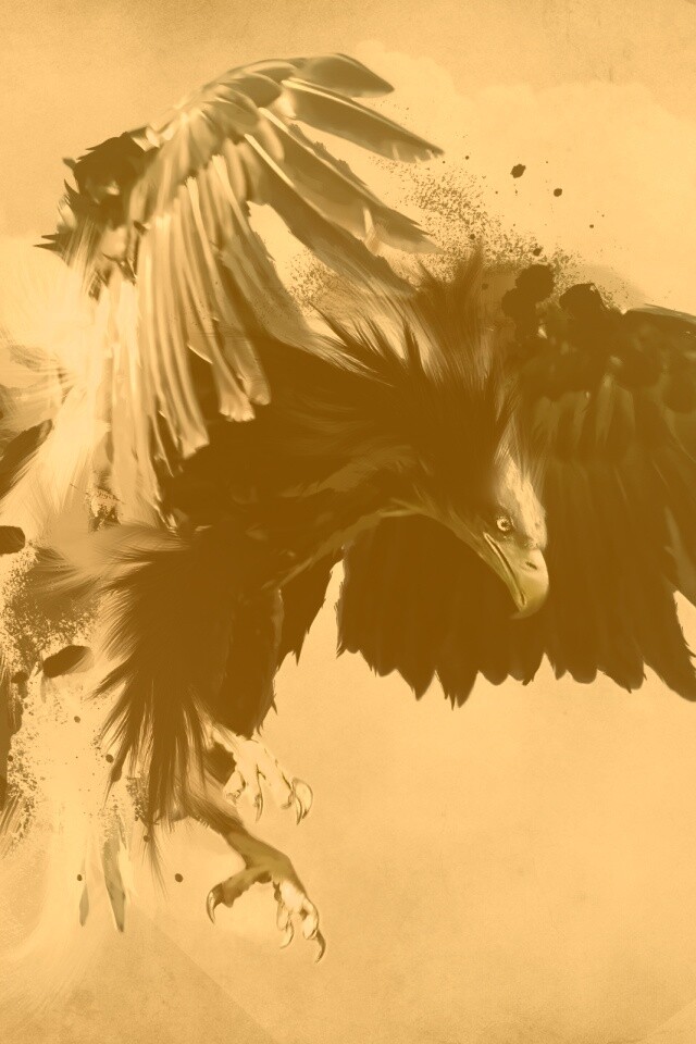 Скетч с орлом обои