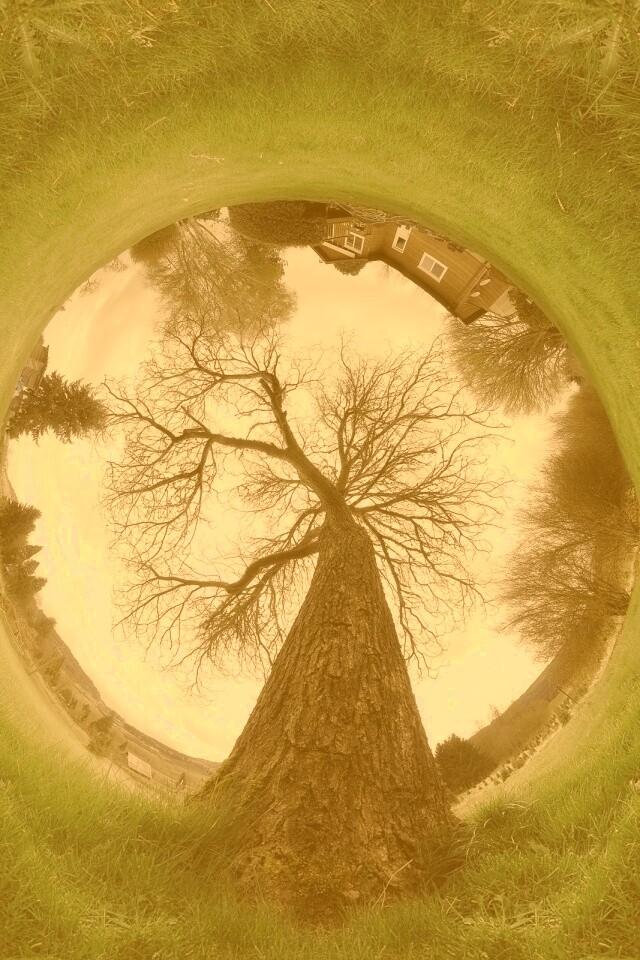 Другой взгляд на мир обои