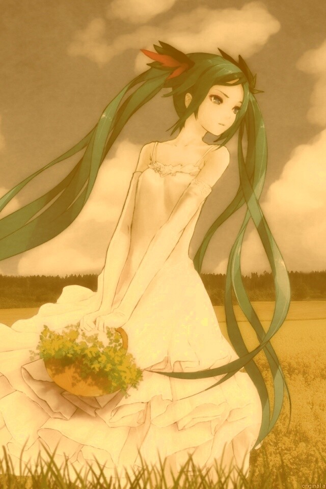 Хатсуне в поле обои