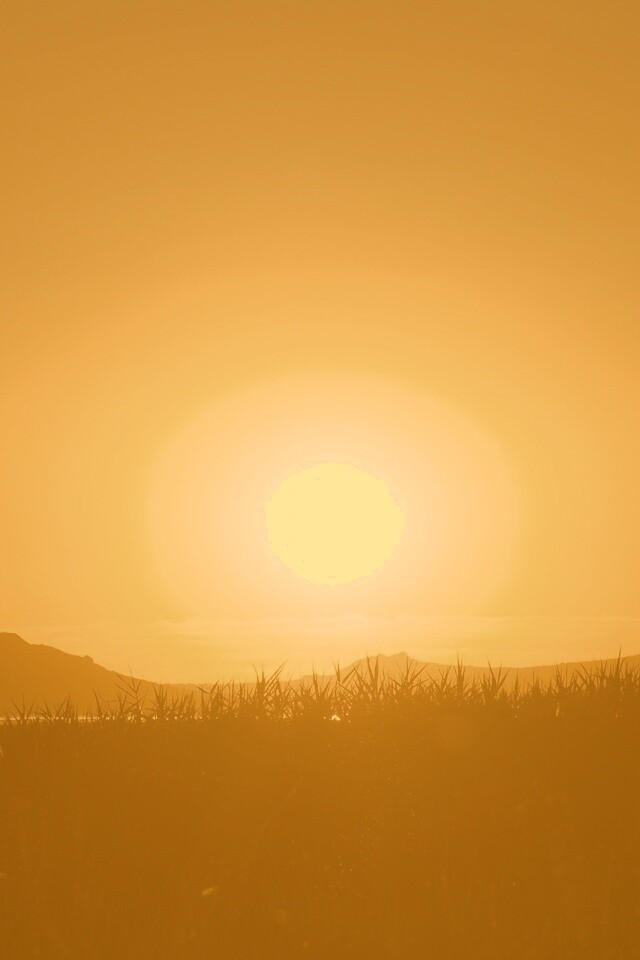 Сельский закат обои