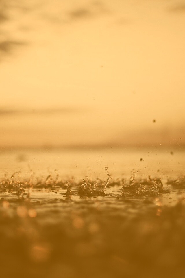 Дождь в макро обои