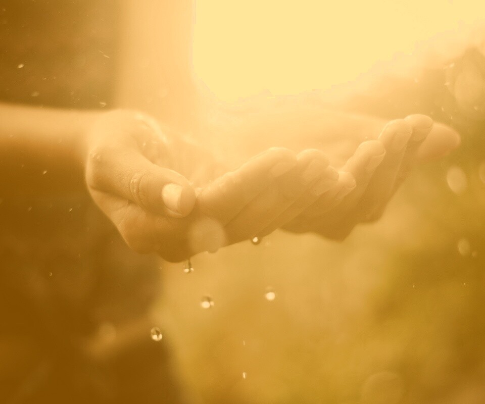 Дождь в ладонях обои