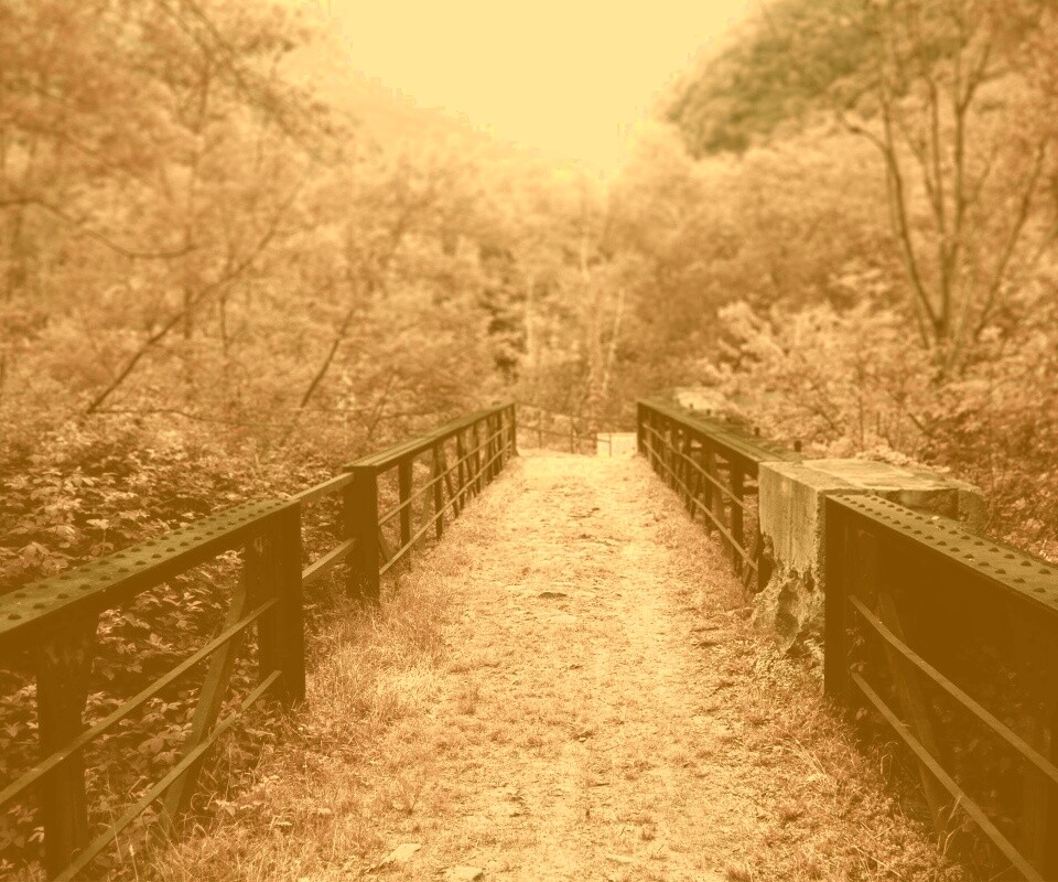 Травянистый мост обои