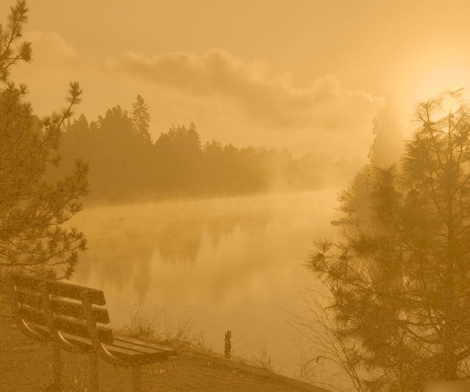 Туманное озеро обои