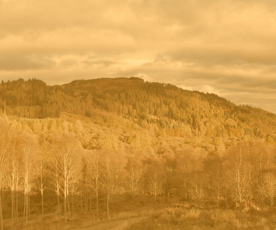 Золотая осень обои