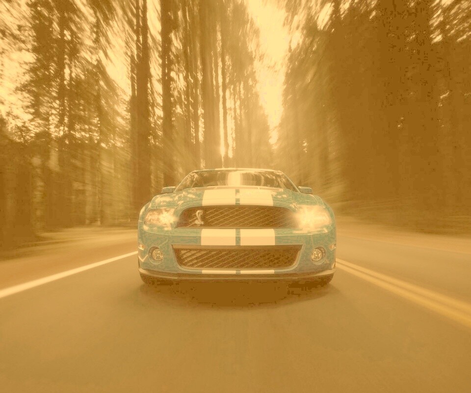 Форд Шелби обои