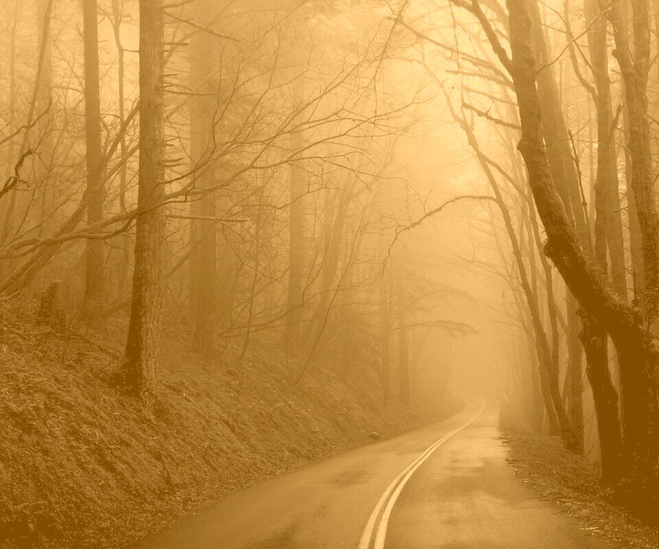 В туман обои