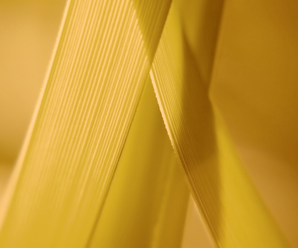 Травинки на свету обои