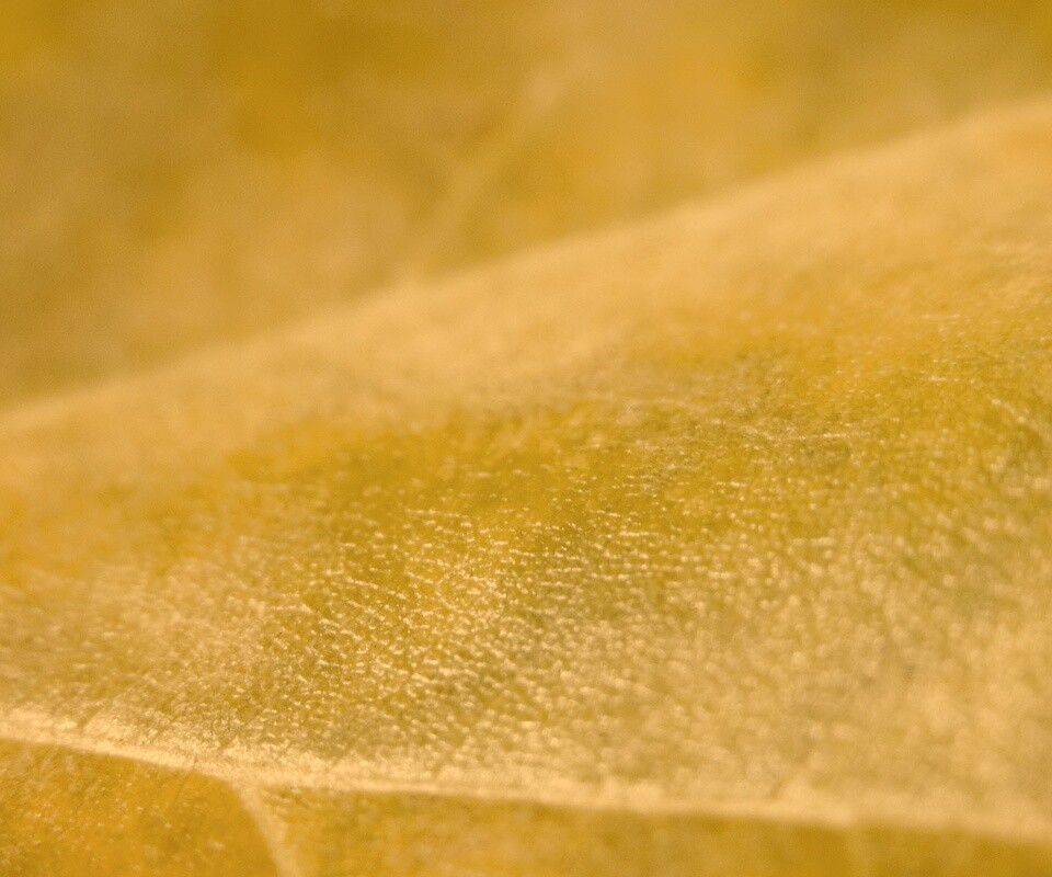 Повехность листа обои