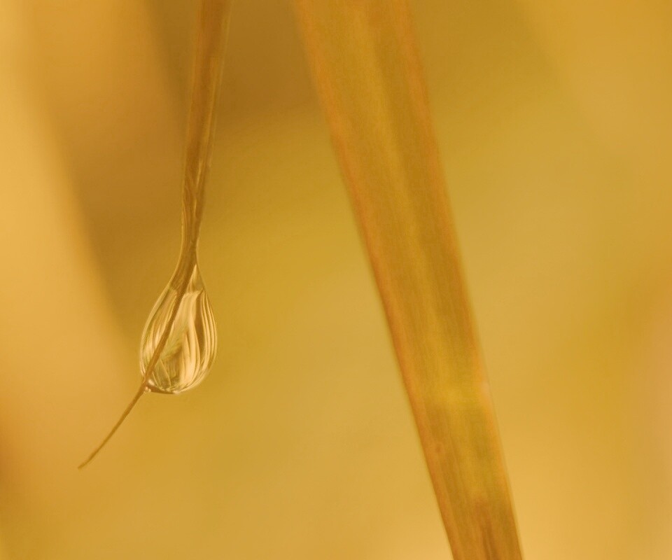 Стекающая капля обои